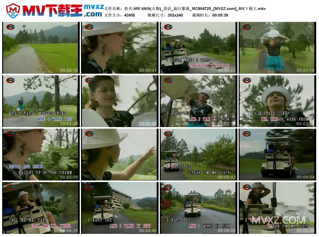 佚名-MR VAIN(人物)_英语_流行歌曲_MC804725